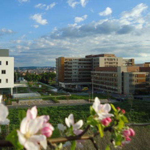 FN Plzeň